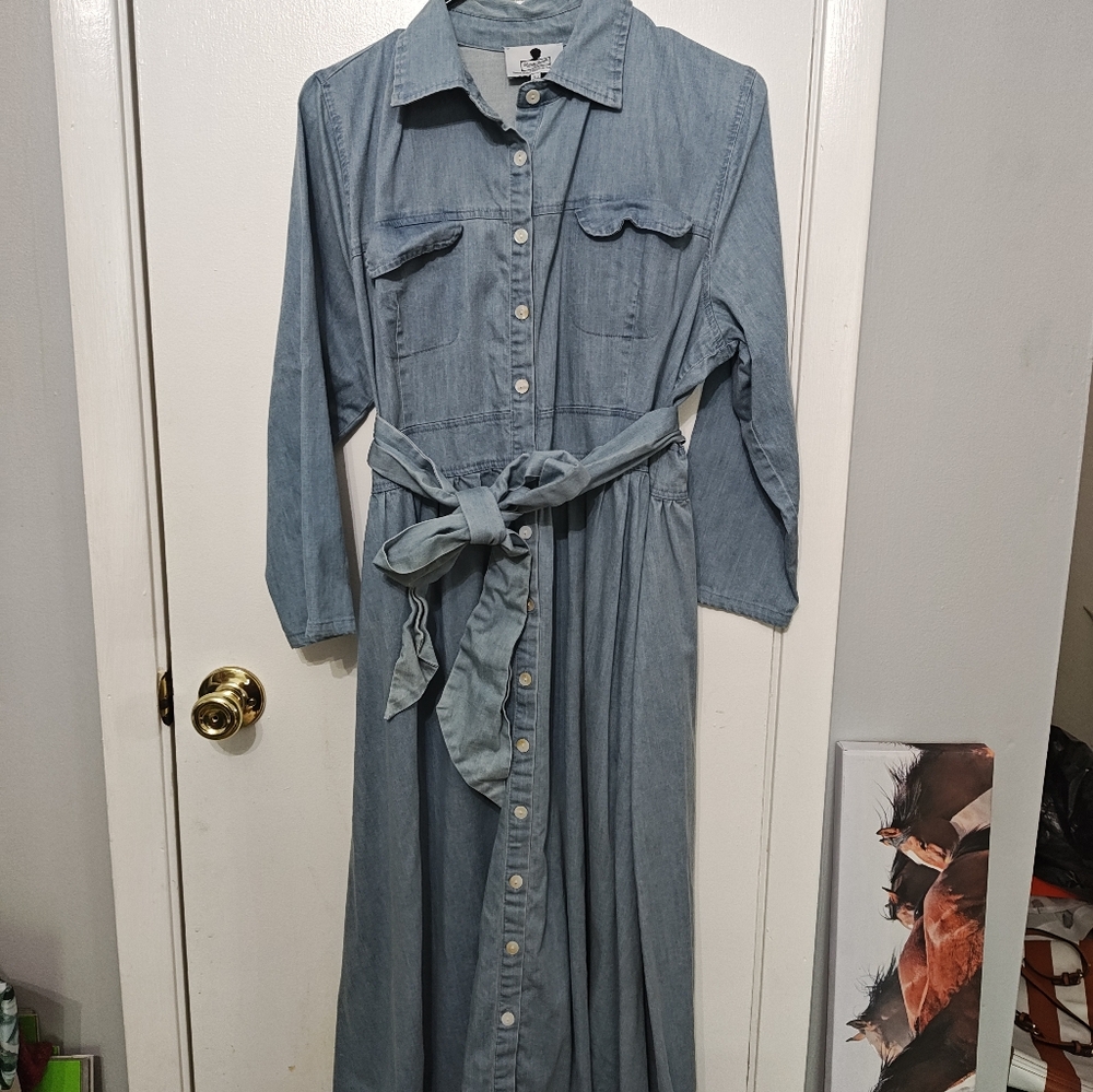 Dainty Jewell's Women's Denim Button-Down Midi Dress